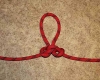 Alpine butterfly loop step by step how to tie instructions
