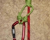 Distel hitch step by step how to tie instructions