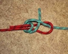 Double sheet bend step by step how to tie instructions