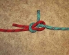 Sheet bend step by step how to tie instructions